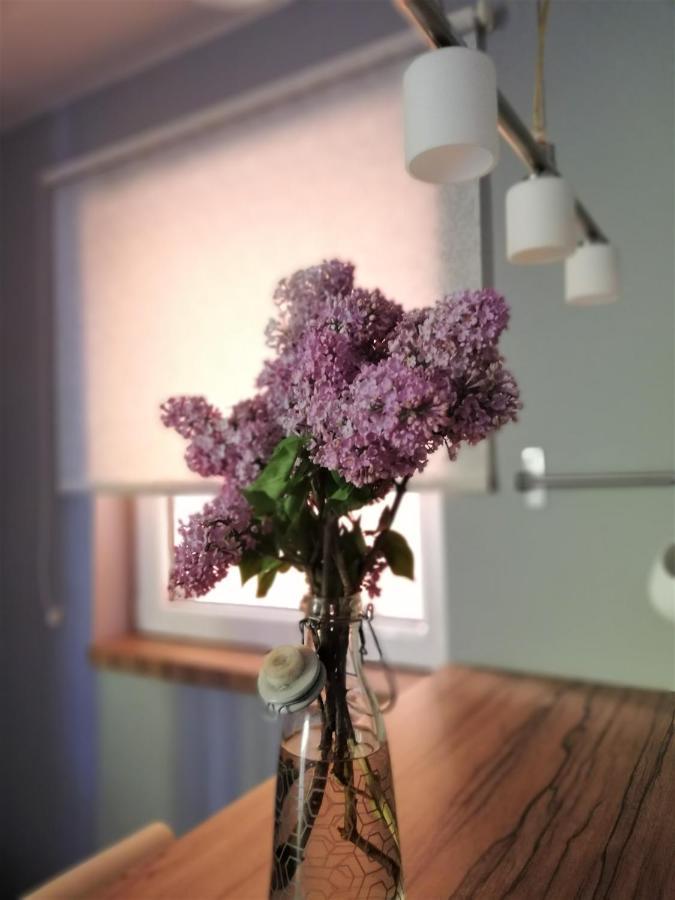 Nest Hotel Belgrado Buitenkant foto