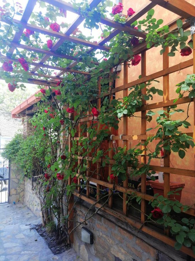 Nest Hotel Belgrado Buitenkant foto
